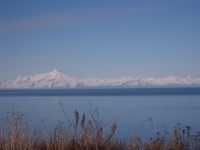 Alaska Range View