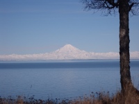 Alaska Range View