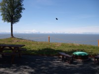 Eagle soaring over bluff